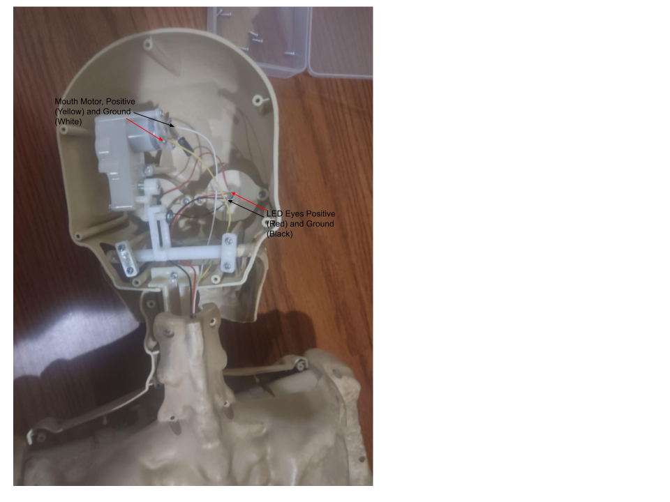 Photo of the skeleton's internal components after removing the skull backplate. Highlight the mouth motor and eye LEDs